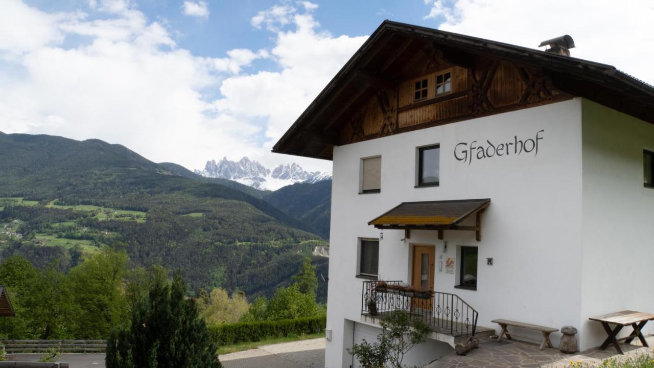 Agriturismo Gfaderhof ブレッサノーネ エクステリア 写真