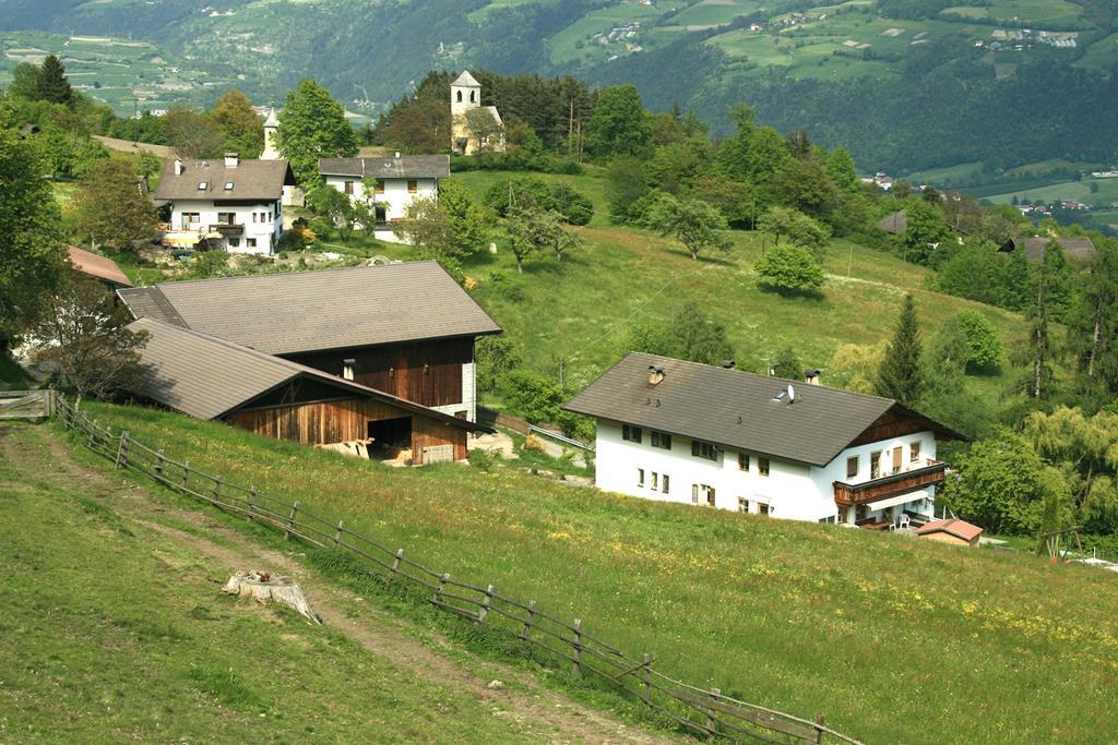 Agriturismo Gfaderhof ブレッサノーネ エクステリア 写真